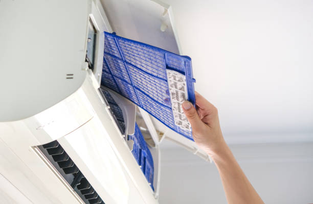 Best Air Duct Mold Removal  in Glen Cove, NY